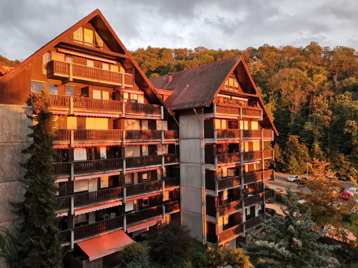 Gaishoell-Wasserfaelle Apartment Schwarzwald Sasbachwalden Exterior photo